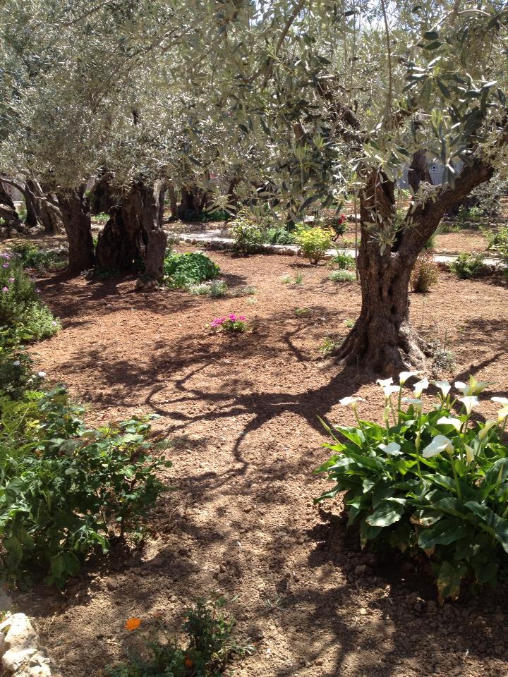 Getsemane 13 03 skärtorsdag Lotta S