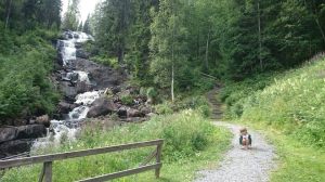 Trappa, vattenfall o Milla