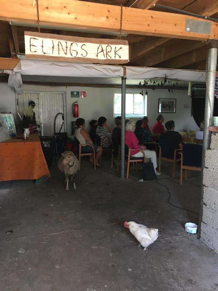 33862958_10155832645954888_8335278035330662400_n